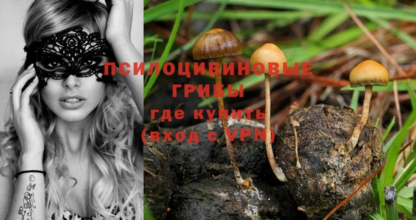каннабис Горняк